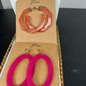 #3 $95 J. Crew Women's Pink Resin Hoop Earrings